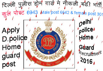  दिल्ली पुलिस होम गार्ड 