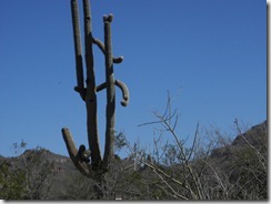 DSCN3403