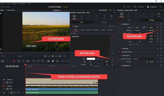 personalizzare il timecode di davinci resolve