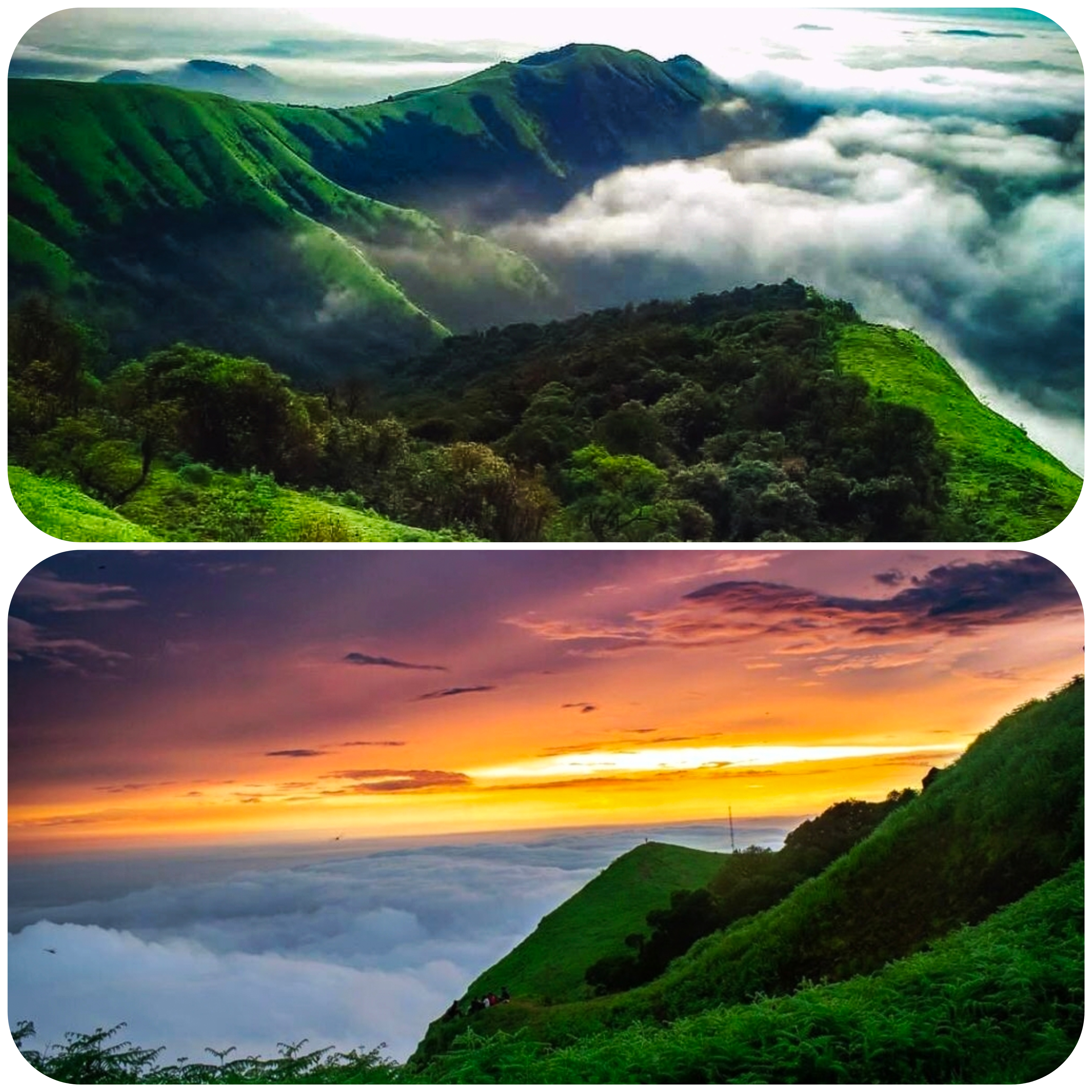 Kodachadri Hills
