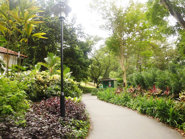 Singapore botanic garden