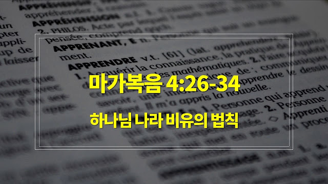 마가복음 4장 26절-34절, 하나님 나라 비유의 법칙 - 매일성경 큐티 새벽설교요약