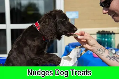 nudges dog treats, blue nudges dog treats
