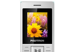 POLYTRON C203 FRIMWARE