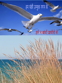 चित्र