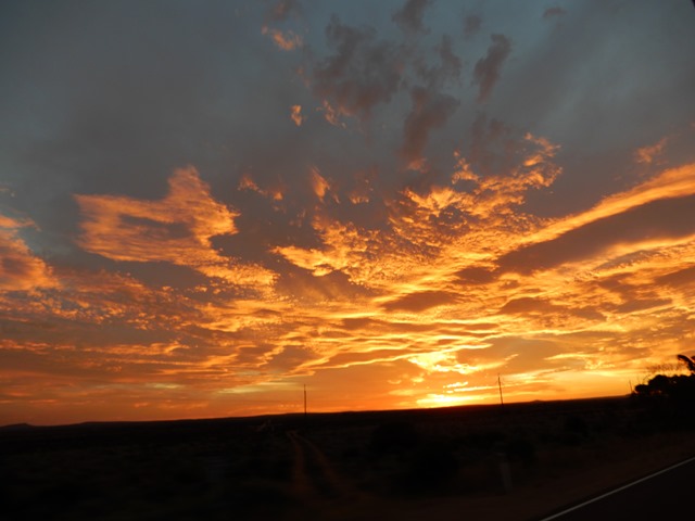 DSCN2474