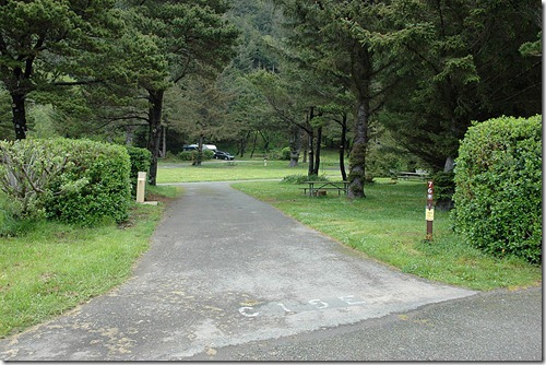 Humbug Mountain_076