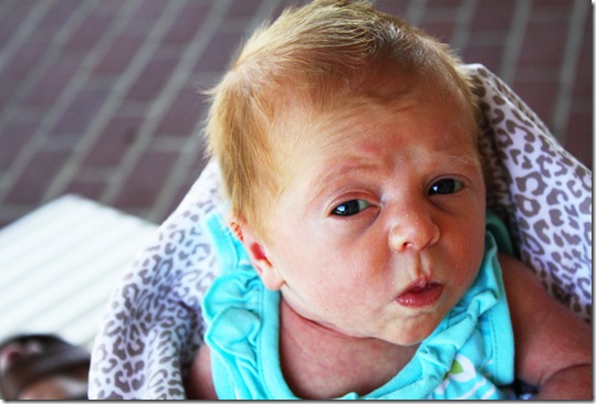 Calliealmost3weeksold