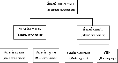 สิ่งแวดล้อมทางการตลาด PDF MBA