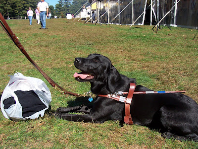 Granite Is The First Dog Sharon Raised