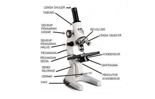  Senang sekali rasanya kali ini dapat kami bagikan artikel tentang  Mikroskop (Pengertian, 14 Bagian dan Fungsi, Gambar)