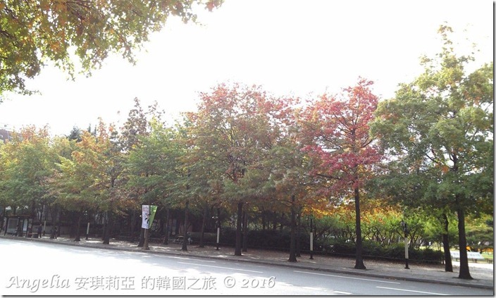 Gukchae-bosang Memorial Park-18