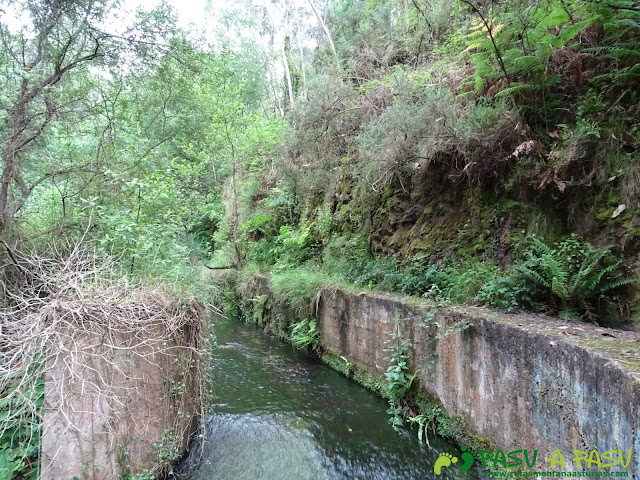 Canal en la Senda del Escañorio