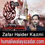 http://www.humaliwalayazadar.com/2017/10/zafar-haider-kazmi-nohay-2018.html