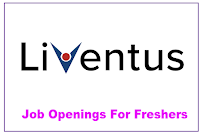 Liventus Freshers Recruitment 2023, Liventus Recruitment Process 2023, Liventus Career, Quality Analyst (Fresher) Jobs, Liventus Recruitment.