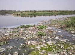 Sungai Paling Tercemar Di Dunia