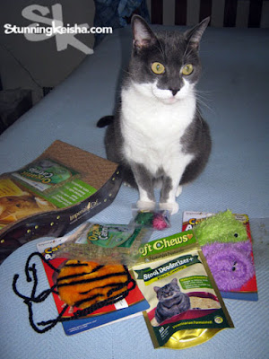 Cat Claws Subscription Box review & giveaway