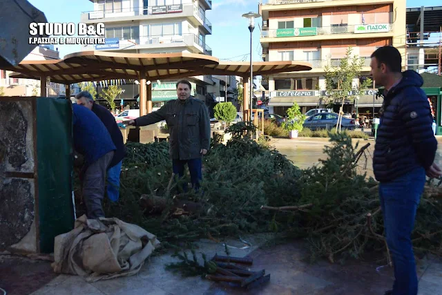 Έπεσε μεγάλο δέντρο στην πλατεία Αγίου Πέτρου στο Άργος