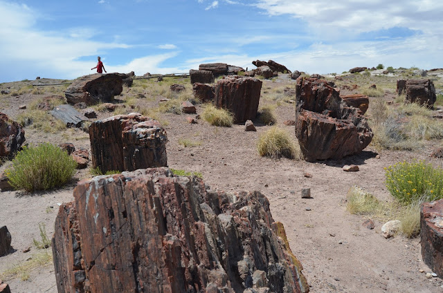 Petrified Forest National Park, Arizona