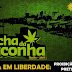 Marcha da Maconha Recife 2017 - Baseada em Liberdade