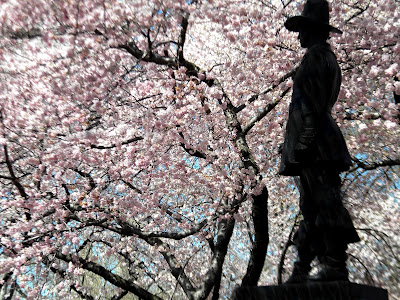 Central Park New York City Pilgrim Hill