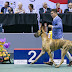 Asia’s biggest dog show is back at the Big Dome