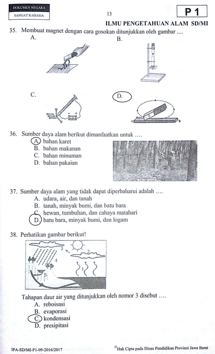 Latihan Soal dan Jawaban USBN IPA SD 2019 Irfanyulianto com