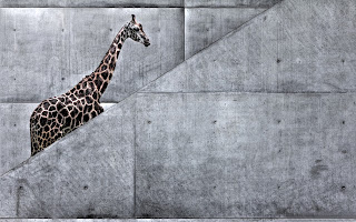 giraffe climbing stairs (12)