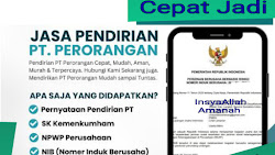 Jasa Buat PT Perorangan + NIB Termurah dan Websitenya 