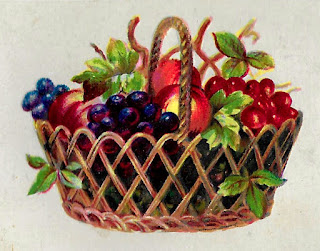 fruit grapes peaches basket image botanical artwork illustration