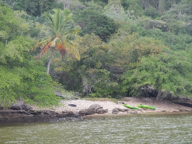 DSCN0526