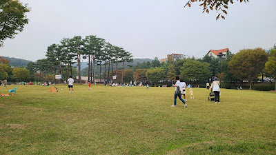 경기도 성남에서 피크닉 하기 좋은 율동공원 주차방법, 시설 소개-잔디광장