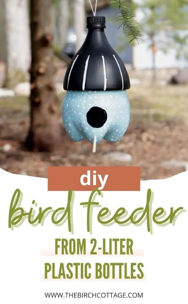 DIY bird feeder from 2-liter plastic bottles