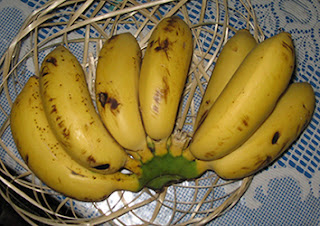 PSHT SIDOARJO: Pisang