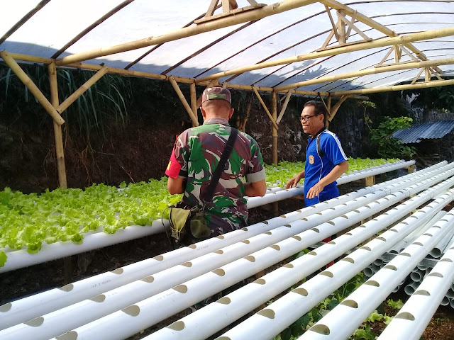 KodimKaranganyar - Bercocok Tanam Tanpa Bahan Kimia Sangat Menguntungkan