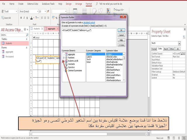 شرح دالة DCOUNT في برنامج  Ms access ميكروسوفت اكسس