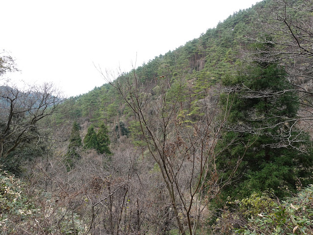 赤松池の脇道からの眺望