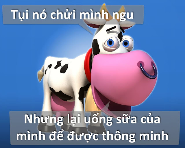 Hình ảnh hài hước