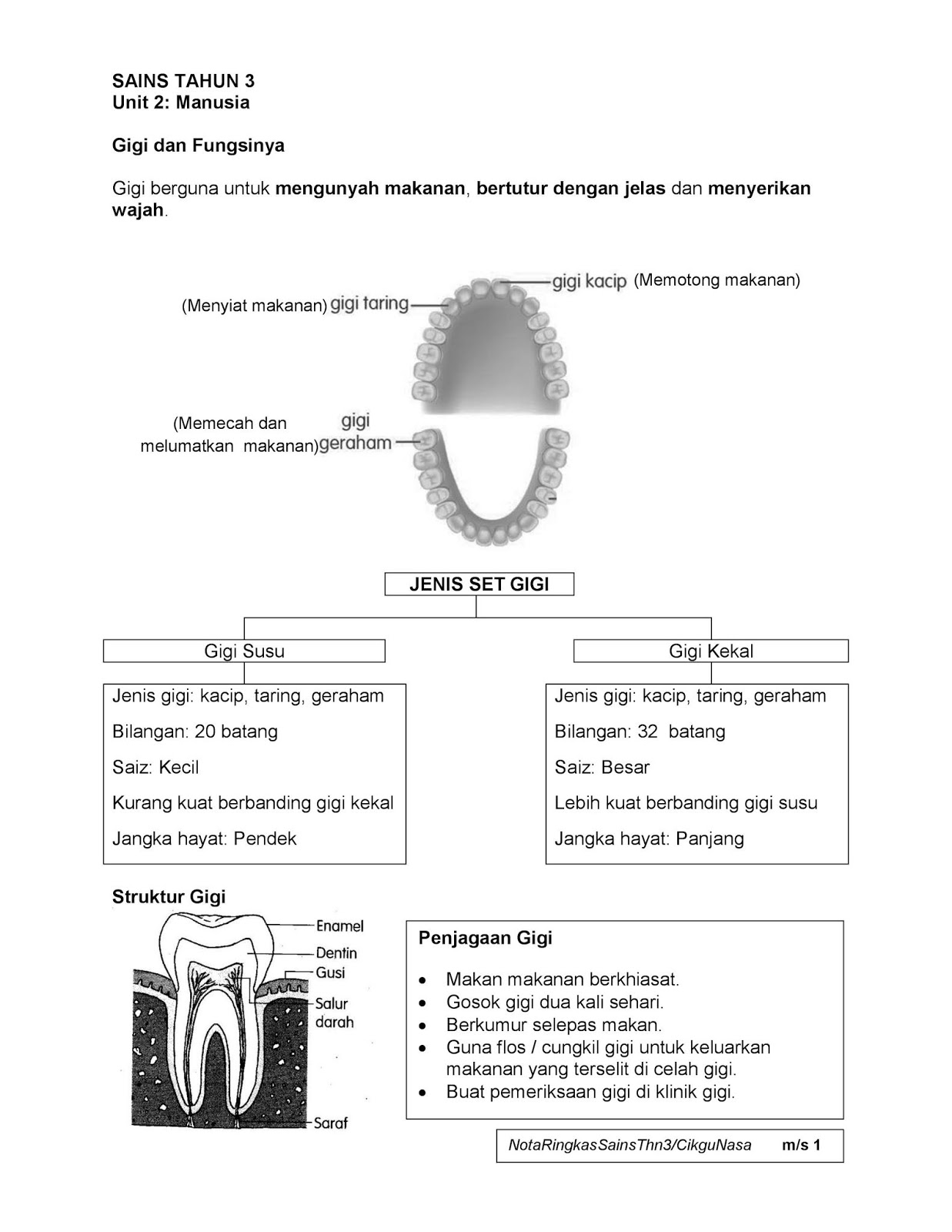 Soalan Matematik Murid Galus Upsr - Terengganu v