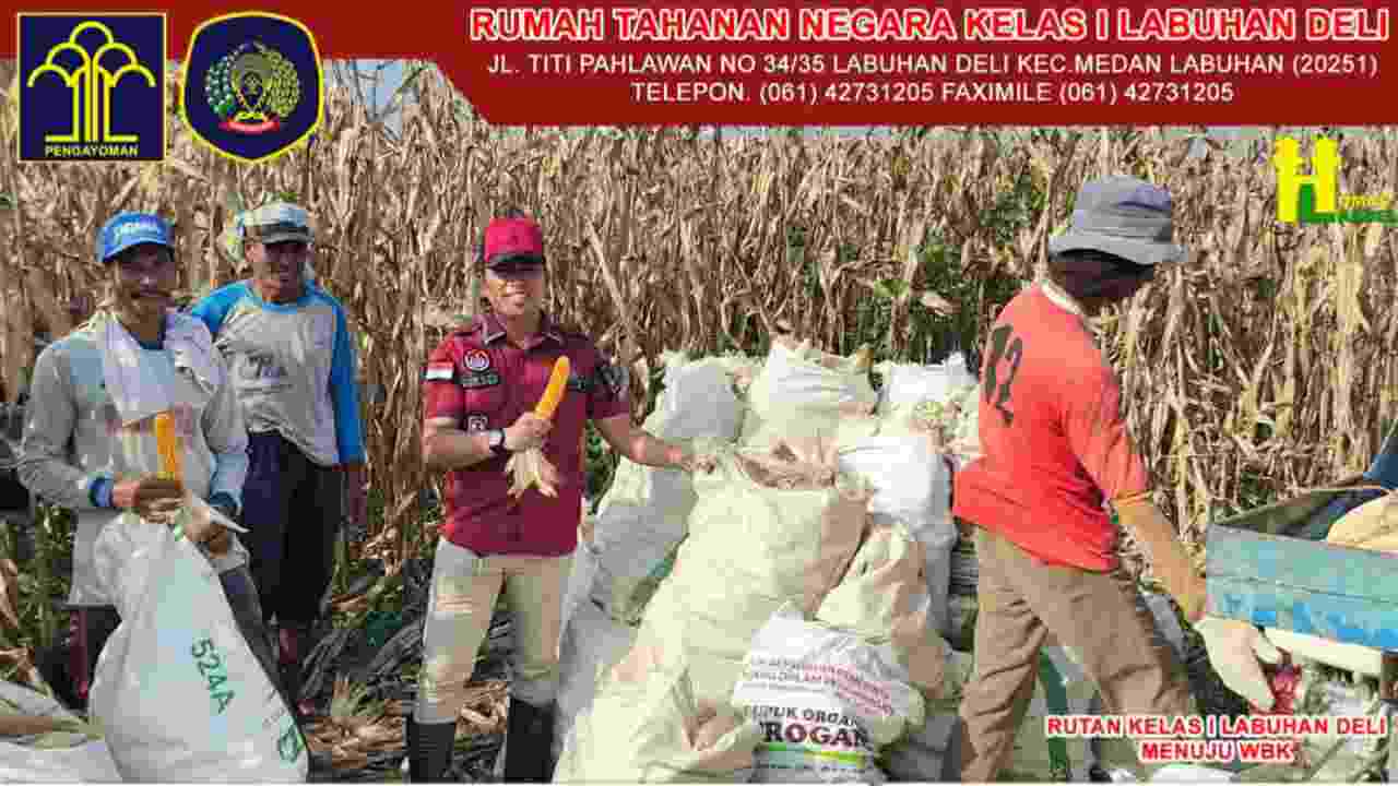 Rutan Kelas 1 Labuhan Deli Lakukan Panen Raya, Dalam Program Dukung Ketahanan Pangan