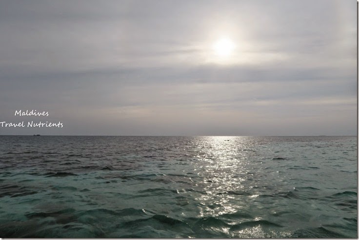 馬爾地夫 野餐島 浮潛 (60)