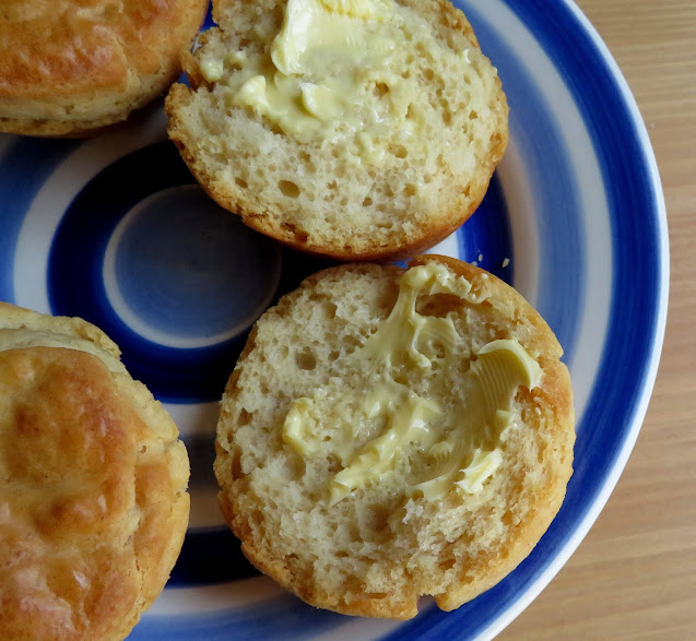 Small Batch No Yeast Dinner Rolls