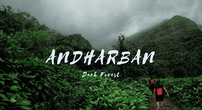 Andharban Trek: Exploring the Enchanting Trail of Maharashtra