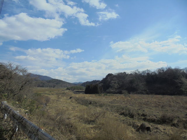 精進川の風景