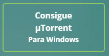  torrent 