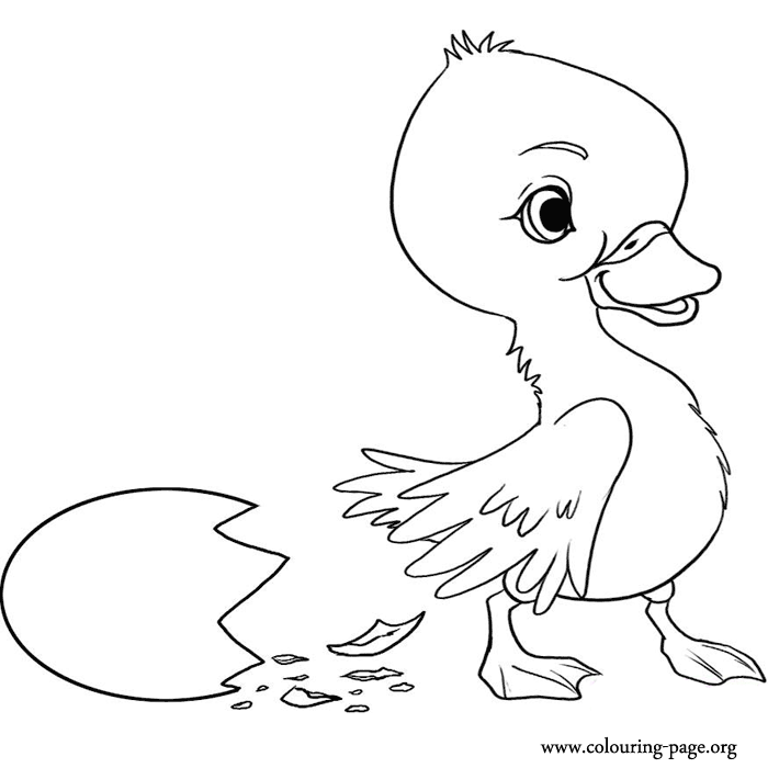 Download Cute Duck Drawing Cartoon HD Wallpaper - colours drawing ...