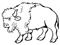 Realistic bison coloring pages