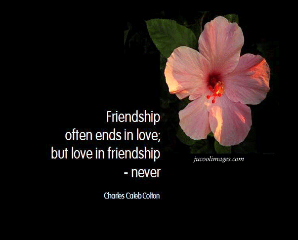 friendship quotes collage. friendship quotes and pictures