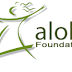 FINANCE MANAGER OF ALOLA FOUNDATION