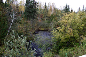 a trout stream in the North Country
